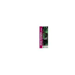 Alnus Complex Sciroppo 200 ml