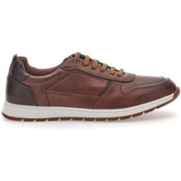 Scarpe Stringate Marroni con Lacci Sevenoaks 202341 41