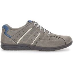 Scarpe Stringate Grigie Pittarello Eco 270002 42