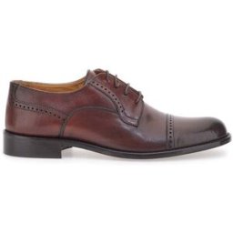 Scarpe Stringate Marroni Pittarello Plus 620 41
