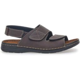 Sandali Marroni Con Chiusura Strappo Jerpoint 647 41