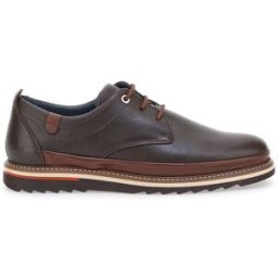 Scarpe Stringate Marroni Pittarello Eco 450002 41