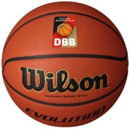 Wilson Evolution Game Basketball - DBB