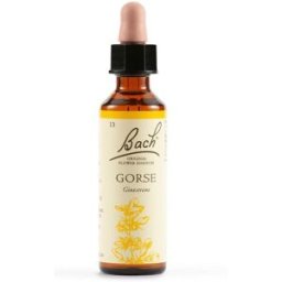Schwabe Pharma Italia Gorse Bach Orig 20 Ml ml Gocce orali