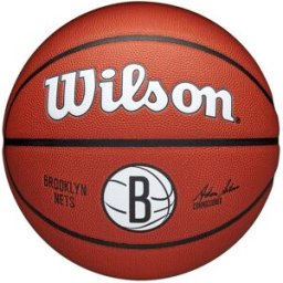 Wilson NBA Team Alliance Basketball