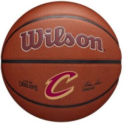 Wilson NBA Team Alliance Basketball