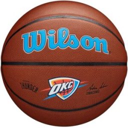 Wilson NBA Team Alliance Basketball