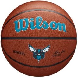 Wilson NBA Team Alliance Basketball