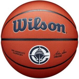 Wilson NBA Team Alliance Basketball