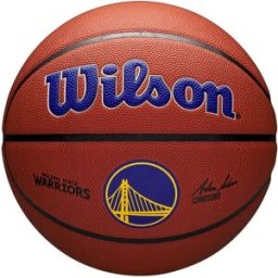 Wilson NBA Team Alliance Basketball