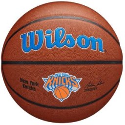 Wilson NBA Team Alliance Basketball