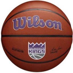 Wilson NBA Team Alliance Basketball