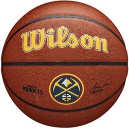 Wilson NBA Team Alliance Basketball