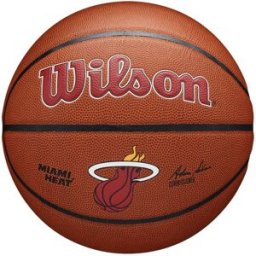 Wilson NBA Team Alliance Basketball