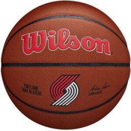 Wilson NBA Team Alliance Basketball