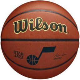 Wilson NBA Team Alliance Basketball