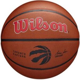 Wilson NBA Team Alliance Basketball