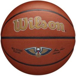 Wilson NBA Team Alliance Basketball