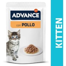ADVANCE Kitten Busta Multipack 12x85G POLLO