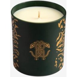 Roberto Cavalli Wild Jungle Candela Profumata 220 G - Candele Verde Scuro UNICA