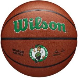 Wilson NBA Team Alliance Basketball