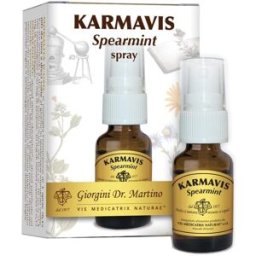 DR.GIORGINI SER-VIS Srl KARMAVIS Spearmint Spy 15ml
