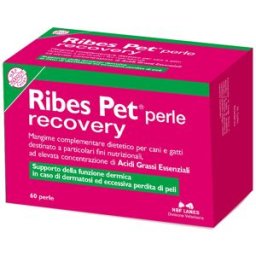 N.B.F. LANES Srl RIBES PET Recovery 60 Perle