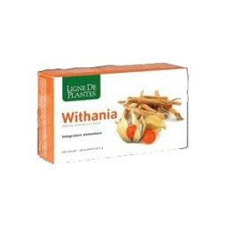 NATURA SERVICE Srl WITHANIA 60 Capsule NSE