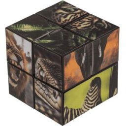 Out of the Blue Cubo Magico OOTB Animali selvatici 1 St