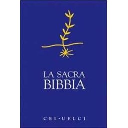 La sacra Bibbia. Ediz. blu