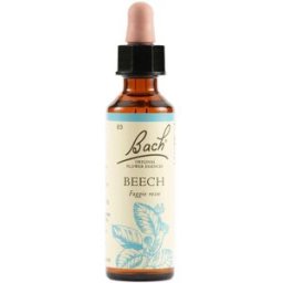 BEECH BACH ORIG 20ML