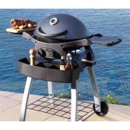 Barbecue a gas Dolcevita Twingrill grigio