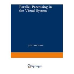 Parallel Processing in the Visual System