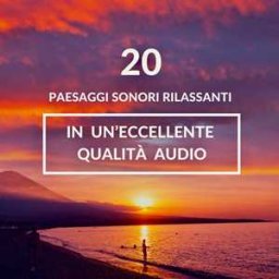 ambiente rilassante per il sonno, meditazione, sonno profondo: 20 paesaggi sonori rilassanti in un'eccellente qualità audio