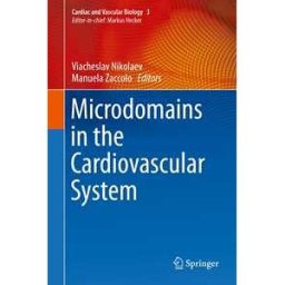 Microdomains in the Cardiovascular System
