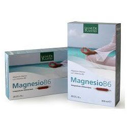 MAGNESIO B6 20AB 15ML