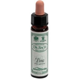 SANTIVERI Sa PINE F BACH 10ML (I3) AINSWORT