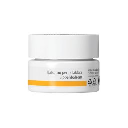 Dr. Hauschka Balsamo Labbra Rigenerante Protettivo Naturale 4,5g