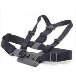 REPORTER 99506 Pettorina