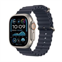 Apple Watch Ultra 2 Gps + Cellular 49mm Titanio-naturale Cinturino Ocean Blu