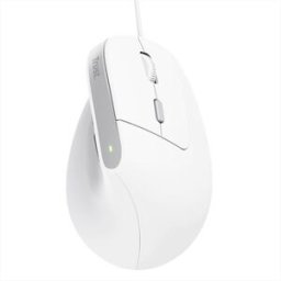 Trust Mouse Bayo Ii Ergonomic-white