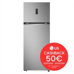LG Frigorifero 2 Porte Gtbv44pybkd Classe E 461l-argento