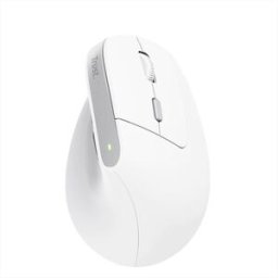 Trust Bayo Ii Ergonomic Wireless Mouse-white