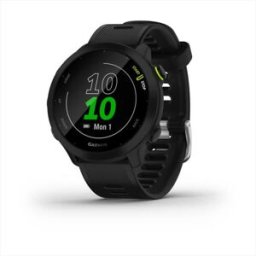 Garmin Forerunner 55-black