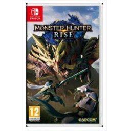 Nintendo Monster Hunter Rise