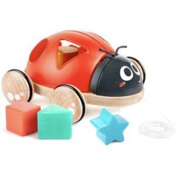 Hape Coccinella con sorter di forme 1 St