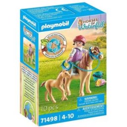 Playmobil 71498 1 St