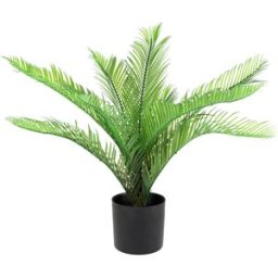 Palma artificiale Miki; 54 cm (H); verde/nero