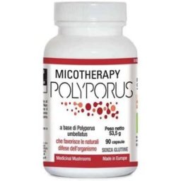 A.V.D. REFORM Srl Micotherapy Polyporus - Integratore alimentare drenante - 90 capsule