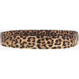 Roberto Cavalli Fascia Con Stampa Leopardata - Female Accessori Marrone Chiaro 42